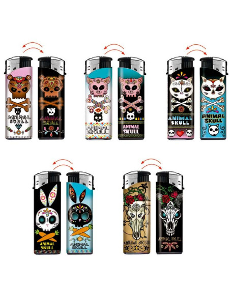 Mechero Dora Electrónico Decorado, encendedor moderno y recargable para fumadores